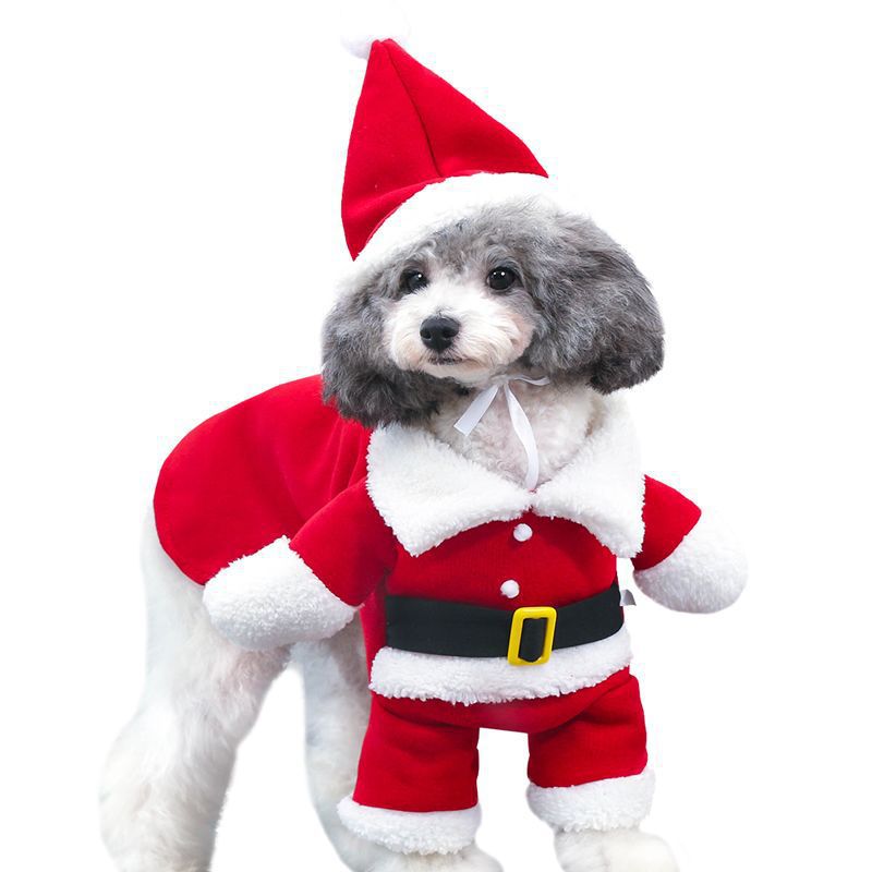 Furry Santa Christmas Pet Costume