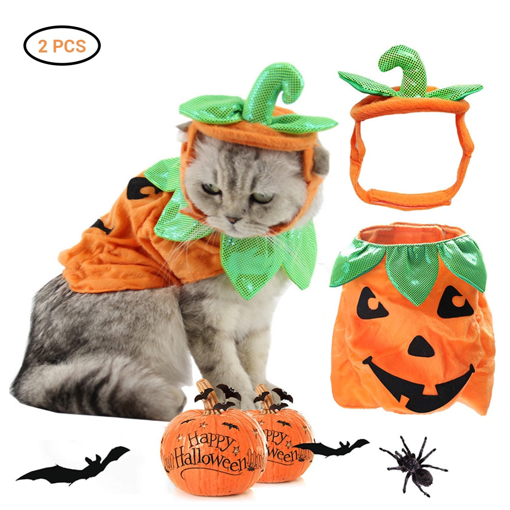 Paw-kin Purrfection Halloween Costume