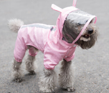 Outside Buddy Raincoat