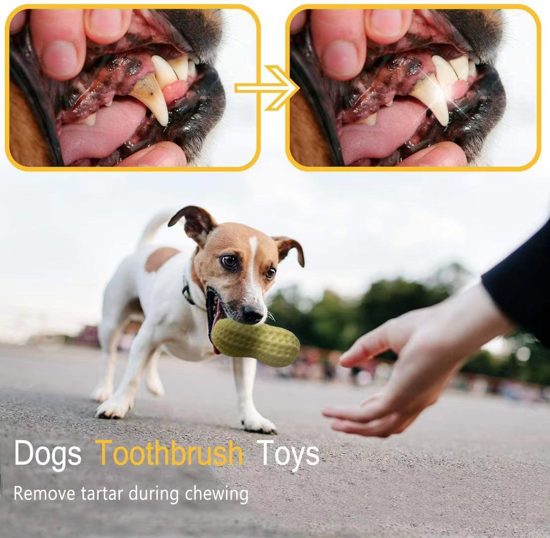 Peanut Squeaky Chew Toy - Pet Toy Collection