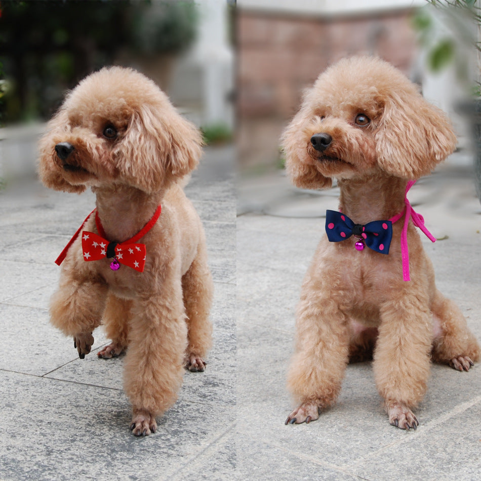 Little Bow Pet Collar