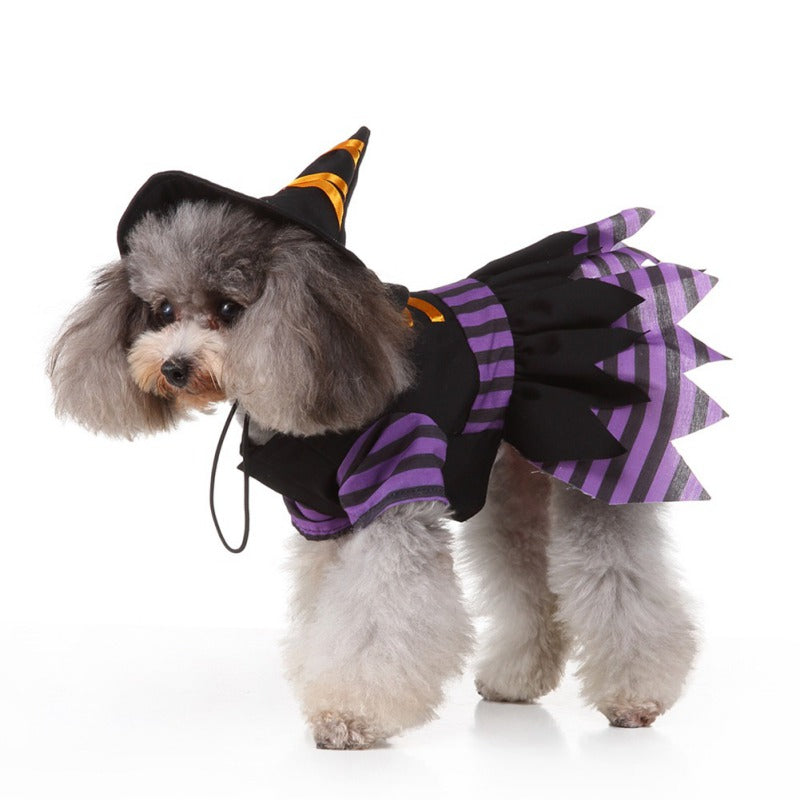 Witch Pet Costume