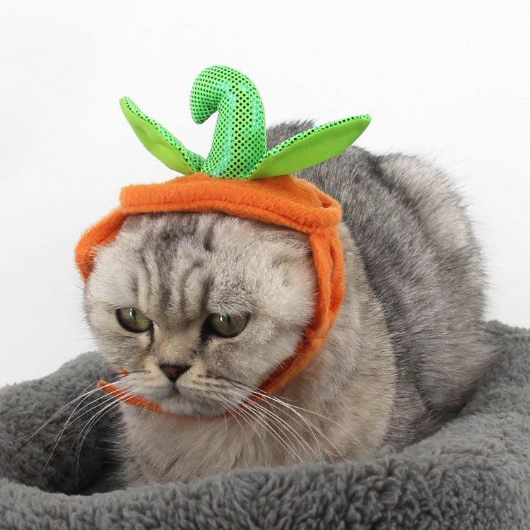 Paw-kin Purrfection Halloween Costume