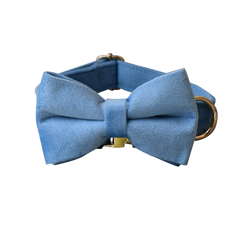 Blue Velvet Dog Collar