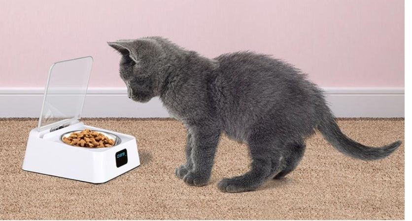 5G Automatic Pet Feeder Bowl