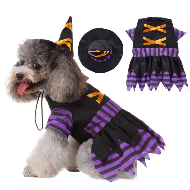 Witch Pet Costume