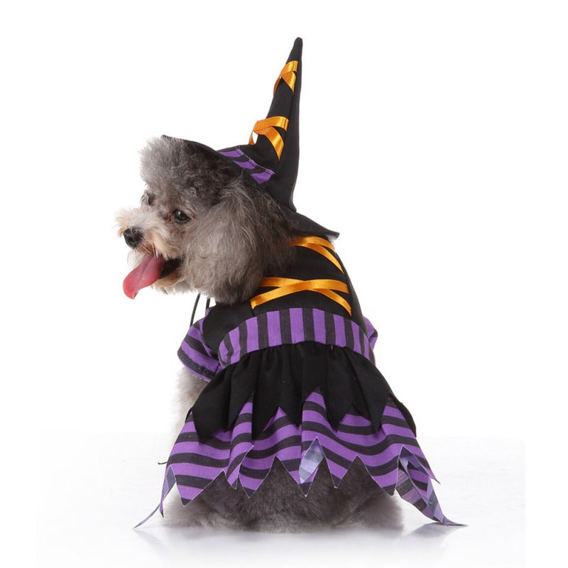 Witch Pet Costume