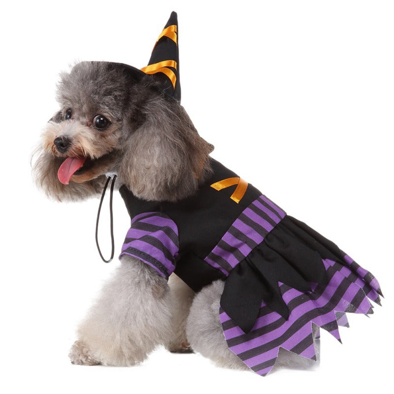 Witch Pet Costume